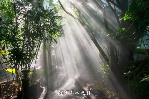 她是两弹一星元勋夫人，中年丧夫晚年丧女，生前捐出毕生积蓄60万