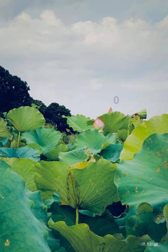 森迪公主立秋时装